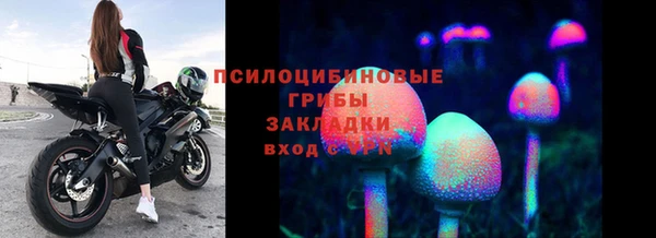 дживик Пересвет