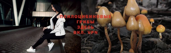 ALPHA-PVP Переславль-Залесский
