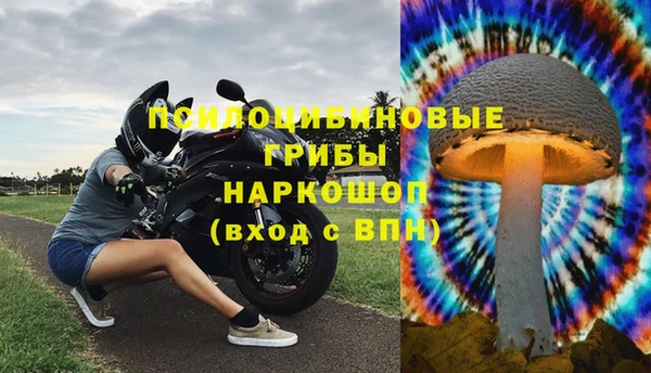 a pvp Пестово