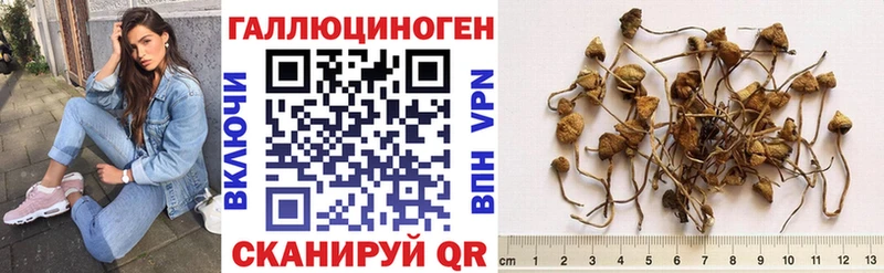 hydra tor Туринск Псилоцибиновые грибы ЛСД магазин